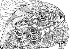 Coloriage Anti Stress Manga Nouveau Bestiaire Extraordinaire 100 Coloriages Anti Stress