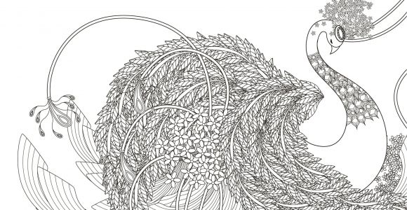 Coloriage Aquarelle Adulte 18 Absurdly Whimsical Adult Coloring Pages Page 19 Of 20