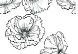 Coloriage Aquarelle Adulte 41 Best Coloriage Fleurs Et Plantes Flowers and Plant Colouring
