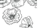 Coloriage Aquarelle Adulte 41 Best Coloriage Fleurs Et Plantes Flowers and Plant Colouring