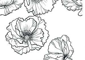 Coloriage Aquarelle Adulte 41 Best Coloriage Fleurs Et Plantes Flowers and Plant Colouring Coloriage Aquarelle Adulte 41 Best Coloriage Fleurs Et Plantes Flowers and Plant Colouring