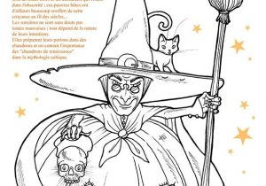 Coloriage Araignée Halloween 20 Best Projet sorci¨re Maternelle Images On Pinterest