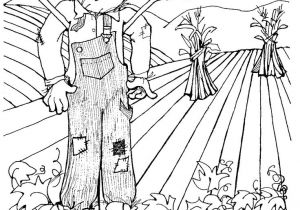 Coloriage Araignée Halloween Les 86 Meilleures Images Du Tableau L épouvantail Sur Pinterest