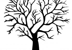 Coloriage Arbre D Automne Maternelle Arbre D Hiver En Gommettes