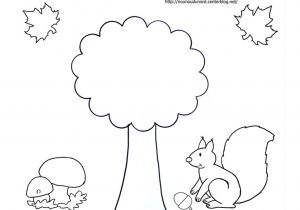 Coloriage Arbre D Automne Maternelle Coloriage Arbre Automne Maternelle