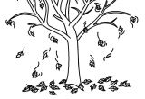 Coloriage Arbre D Automne Maternelle Coloriage Arbres Les Beaux Dessins De Nature   Imprimer Et