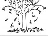 Coloriage Arbre D Automne Maternelle Coloriage Arbres Les Beaux Dessins De Nature   Imprimer Et
