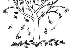 Coloriage Arbre D Automne Maternelle Coloriage Arbres Les Beaux Dessins De Nature   Imprimer Et