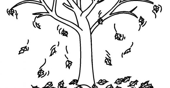 Coloriage Arbre D Automne Maternelle Coloriage Arbres Les Beaux Dessins De Nature   Imprimer Et