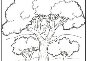 Coloriage Arbre De Vie A Imprimer Arbres 7 Coloriage à Colorier Les Coloriages Et Dessin à