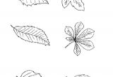 Coloriage Arbre De Vie A Imprimer Coloriage Feuille D Automne Imprimer Pour Les Enfants