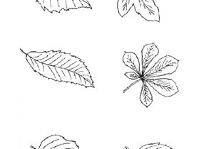 Coloriage Arbre De Vie A Imprimer Coloriage Feuille D Automne Imprimer Pour Les Enfants