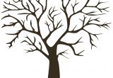 Coloriage Arbre Sans Feuille Arbre   Empreintes