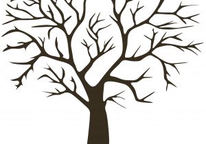 Coloriage Arbre Sans Feuille Arbre   Empreintes