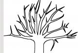 Coloriage Arbre Sans Feuille Arbre Sans Feuille Coloriage