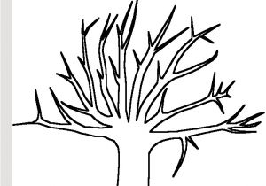 Coloriage Arbre Sans Feuille Arbre Sans Feuille Coloriage