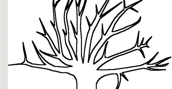 Coloriage Arbre Sans Feuille Arbre Sans Feuille Coloriage