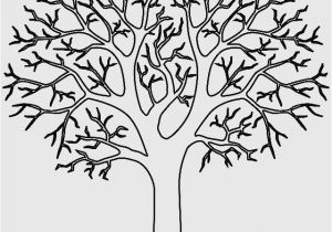 Coloriage Arbre Sans Feuille Unique Tree Line Gallery Site