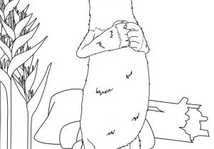 Coloriage as De La Jungle 14 Best Les as De La Jungle Images On Pinterest