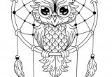 Coloriage attrape Reve A Imprimer attrape Reve Hibou Coloriage De Hiboux Coloriages Pour