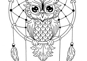 Coloriage attrape Reve A Imprimer attrape Reve Hibou Coloriage De Hiboux Coloriages Pour