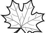 Coloriage Automne A Imprimer Gratuit Coloriage Feuille D Automne Image 1