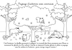 Coloriage Automne Maternelle A Imprimer Gratuit Coloriage   Imprimer Paysage D Automne Le Végétal