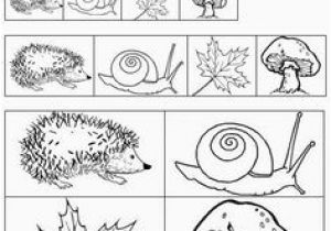 Coloriage Automne Pour Maternelle Bildergebnis Für Activités Sur Les Champignons En Maternelle