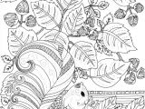 Coloriage Avec Numero Pour Adulte A Imprimer 330 Best Coloriage Adultes Images On Pinterest
