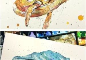 Coloriage Baleine à Bosse Les 149 Meilleures Images De Baleines