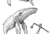 Coloriage Baleine à Bosse Les 15 Meilleures Images De Baleine Dessin