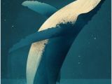 Coloriage Baleine à Bosse Les 15 Meilleures Images De Baleine Dessin