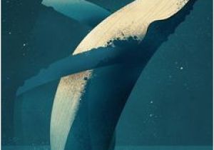 Coloriage Baleine à Bosse Les 15 Meilleures Images De Baleine Dessin