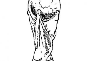 Coloriage Ballon De Foot Coupe Du Monde Coloriage Zidane