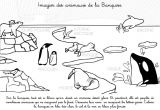 Coloriage Banquise Imprimer Coloriage   Imprimer Imagier Des Animaux De La Banquise