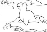 Coloriage Banquise Imprimer Le Phoque En Coloriage   Imprimer Magicmaman