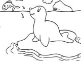 Coloriage Banquise Imprimer Le Phoque En Coloriage   Imprimer Magicmaman