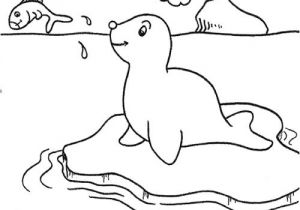 Coloriage Banquise Imprimer Le Phoque En Coloriage   Imprimer Magicmaman