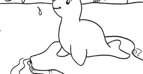 Coloriage Banquise Imprimer Le Phoque En Coloriage   Imprimer Magicmaman