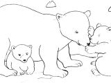 Coloriage Banquise Maternelle Coloriage Ours Polaire Dessin Animac 18 Dessins De Banquise A