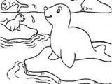 Coloriage Banquise Maternelle Coloriages Esquimaux January Snow Pinterest