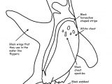 Coloriage Banquise Maternelle Free Penguin Activities