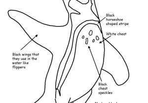 Coloriage Banquise Maternelle Free Penguin Activities