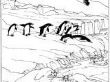 Coloriage Banquise Pole nord 20 Dessins De Coloriage Phoque Banquise   Imprimer