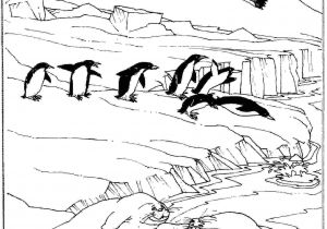 Coloriage Banquise Pole nord 20 Dessins De Coloriage Phoque Banquise   Imprimer