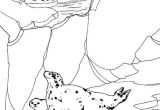 Coloriage Banquise Pole nord Coloriages De Phoque