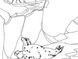 Coloriage Banquise Pole nord Coloriages De Phoque