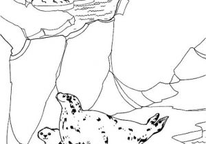 Coloriage Banquise Pole nord Coloriages De Phoque