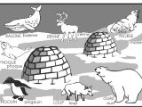 Coloriage Banquise Pole nord P´le nord Et P´le Sud La Classe Destout Petits Petits Moyens 2017