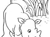 Coloriage Bébé Animaux Savane Bb Dessin Dessin Pour Chambre B B Avec Coloriage Bebe Les Beaux